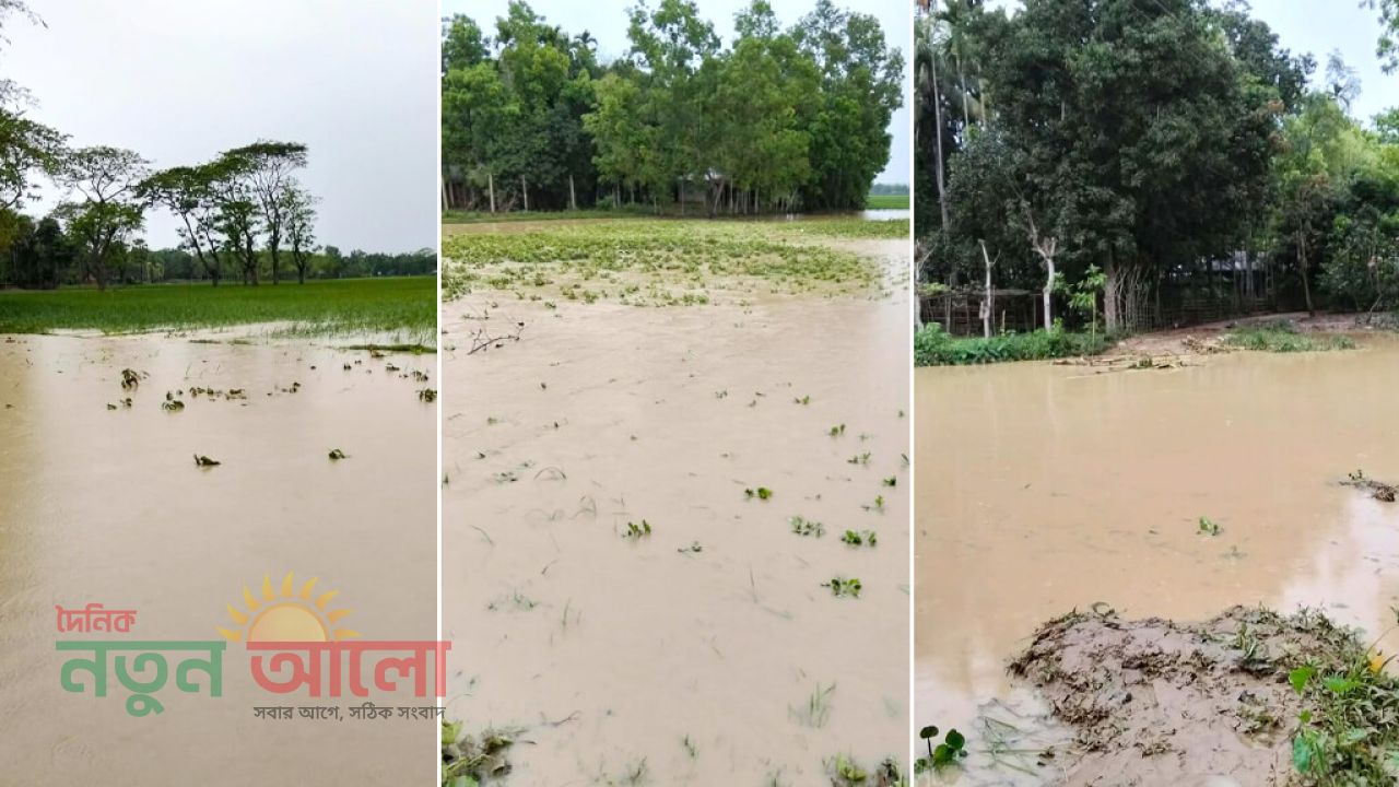 পাহাড়ি ঢলে হালুয়াঘাটে নদীর বাঁধ ভেঙে ৬ গ্রাম প্লাবিত: বোরো ধান ও রবিশস্যের ব্যাপক ক্ষতির আশঙ্কা