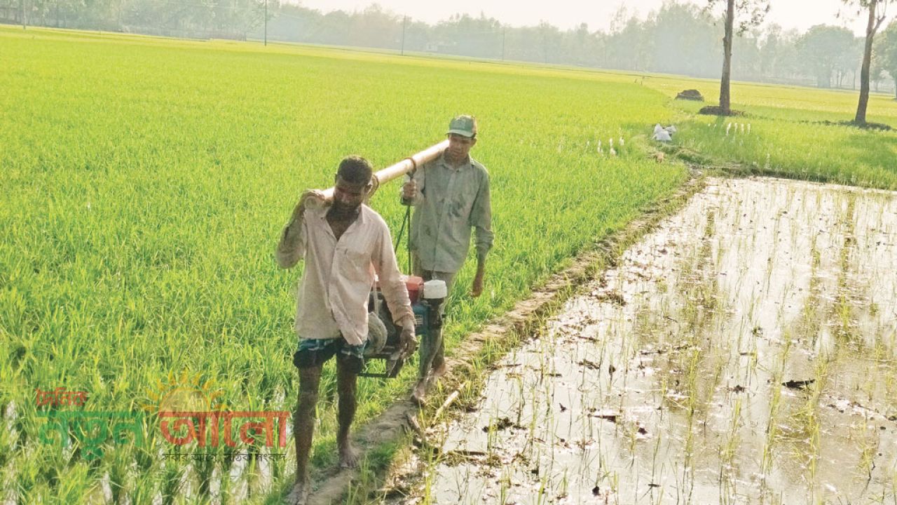 মাঠে ধানের থোড়, পাম্পে হাহাকার: জ্বালানি সংকটে পুড়ছে কৃষকের স্বপ্ন