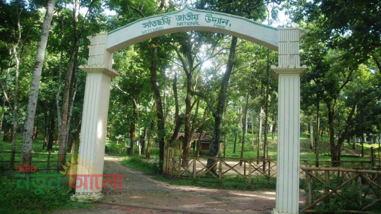 সবুজের মায়াজালে ঘেরা সাতছড়ি জাতীয় উদ্যান : ছুটির দিনে ঘুরে আসুন অরণ্যের গভীরে
