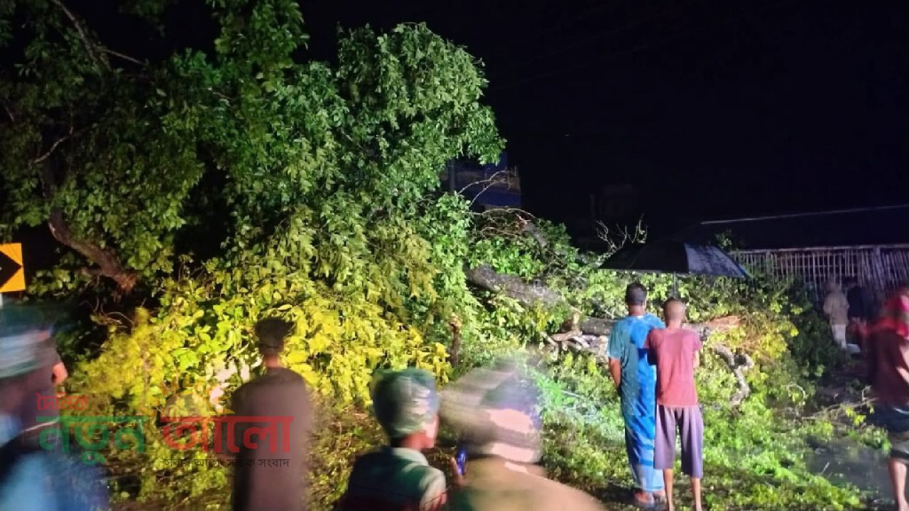 চুয়াডাঙ্গায় কালবৈশাখীর তাণ্ডবে বৃদ্ধের মৃত্যু: গাছ উপড়ে সড়ক যোগাযোগ বিচ্ছিন্ন