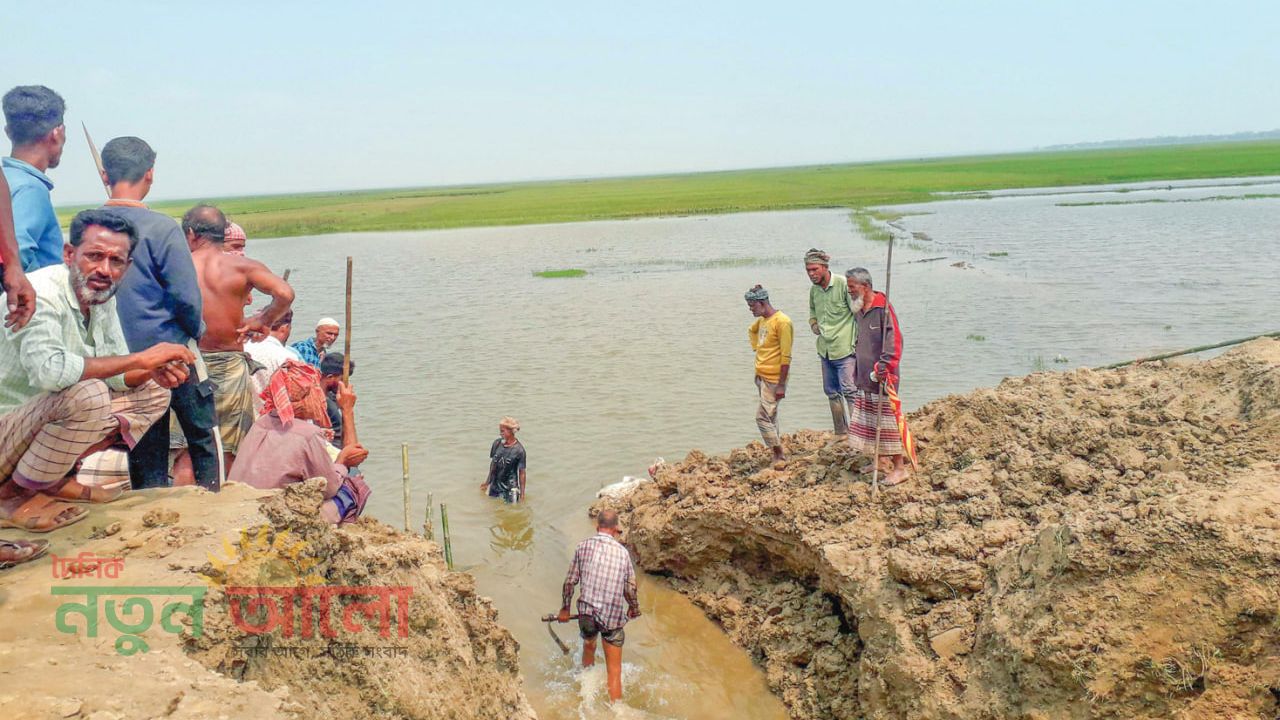 হাওরে নতুন আতঙ্ক জলাবদ্ধতা : বাঁধ কাটা নিয়ে সংঘর্ষে প্রাণহানি, ঝুঁকিতে কোটি টাকার ফসল