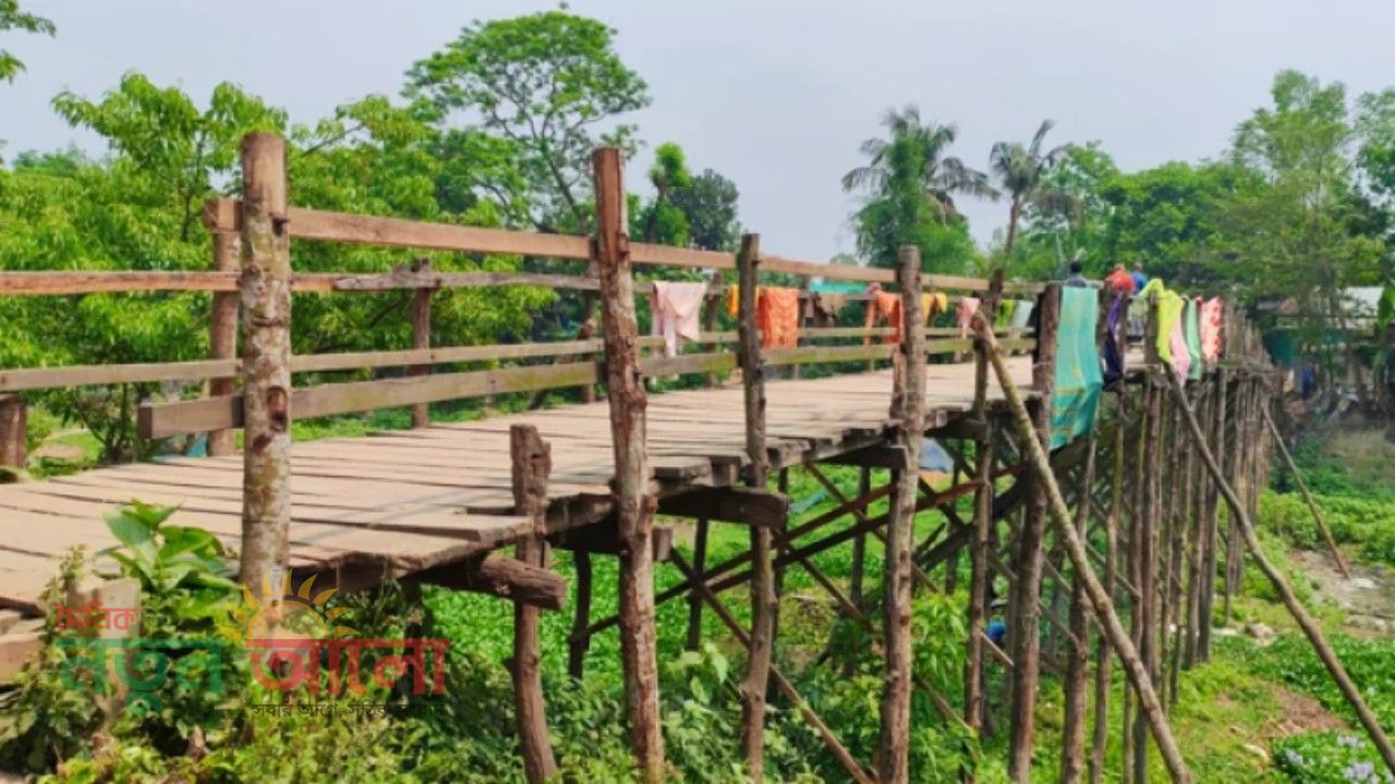 স্বাধীনতার ৫০ বছর পরও হয়নি সেতু: টাঙ্গাইলে ঝুঁকি নিয়ে নড়বড়ে কাঠের সাঁকো পার হচ্ছে ১৫ গ্রাম