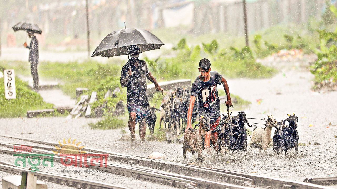 বদলে যাওয়া বৃষ্টিপাত ও বিপন্ন প্রকৃতি: আমাদের করণীয়