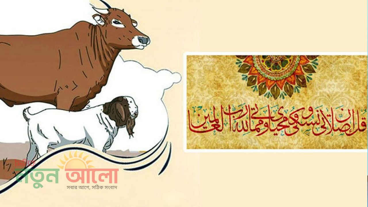 কুরবানির পশু জবাইয়ের সুন্নতি পদ্ধতি ও দোয়া: যা শিখিয়েছেন বিশ্বনবি (সা.)
