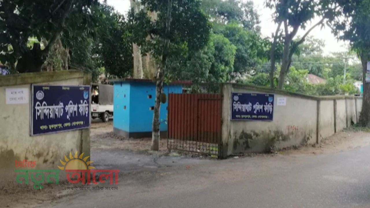 ভুল বোঝাবুঝি থেকে গুঞ্জন: মুকসুদপুরে গরুর মাংস বিক্রি নিয়ে আসল ঘটনা কী?