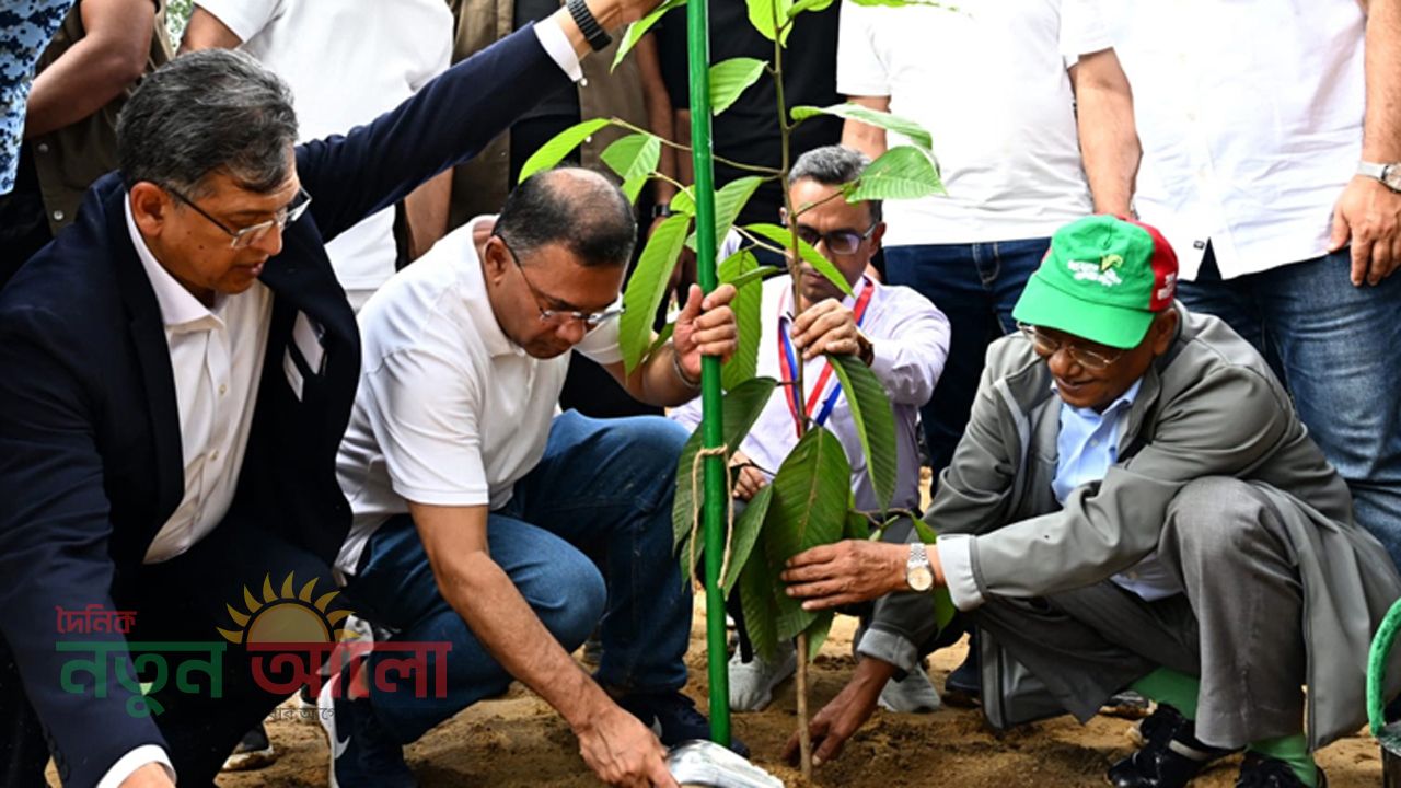 কক্সবাজারে ২৫ কোটি বৃক্ষরোপণ কর্মসূচির মেগা উদ্বোধন করলেন প্রধানমন্ত্রী তারেক রহমান