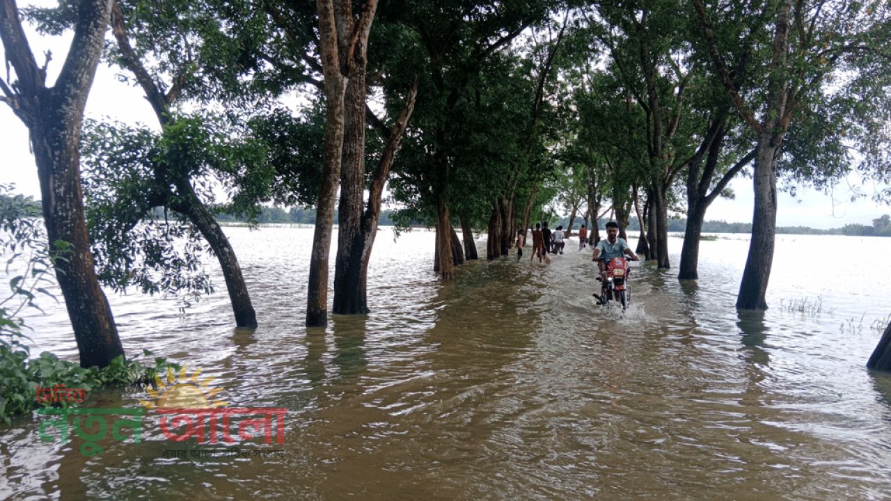 মৌলভীবাজারে মনু নদের বাঁধ ভেঙে বন্যা পরিস্থিতি ভয়াবহ, পানিবন্দি ৩০ হাজার মানুষ