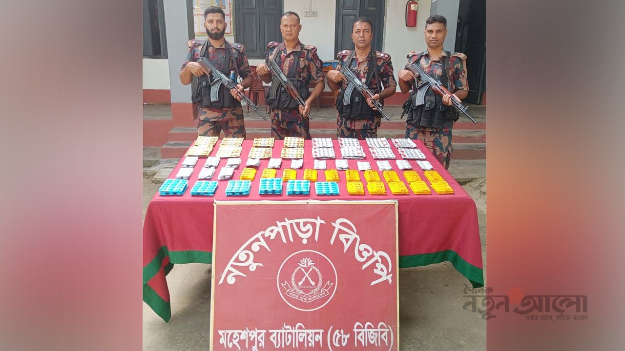 জীবননগর সীমান্তে বিজিবির সাড়াশী অভিযান, বিপুল পরিমাণ ভারতীয় ওষুধ ও ভায়াগ্রা উদ্ধার