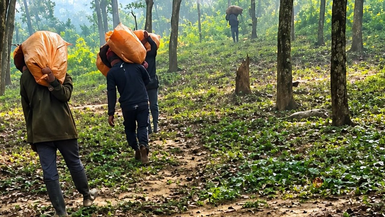 শেরপুর সীমান্তে মাদকের থাবা, সংবাদ সংগ্রহে সাংবাদিকদের ‘হত্যার হুমকি’