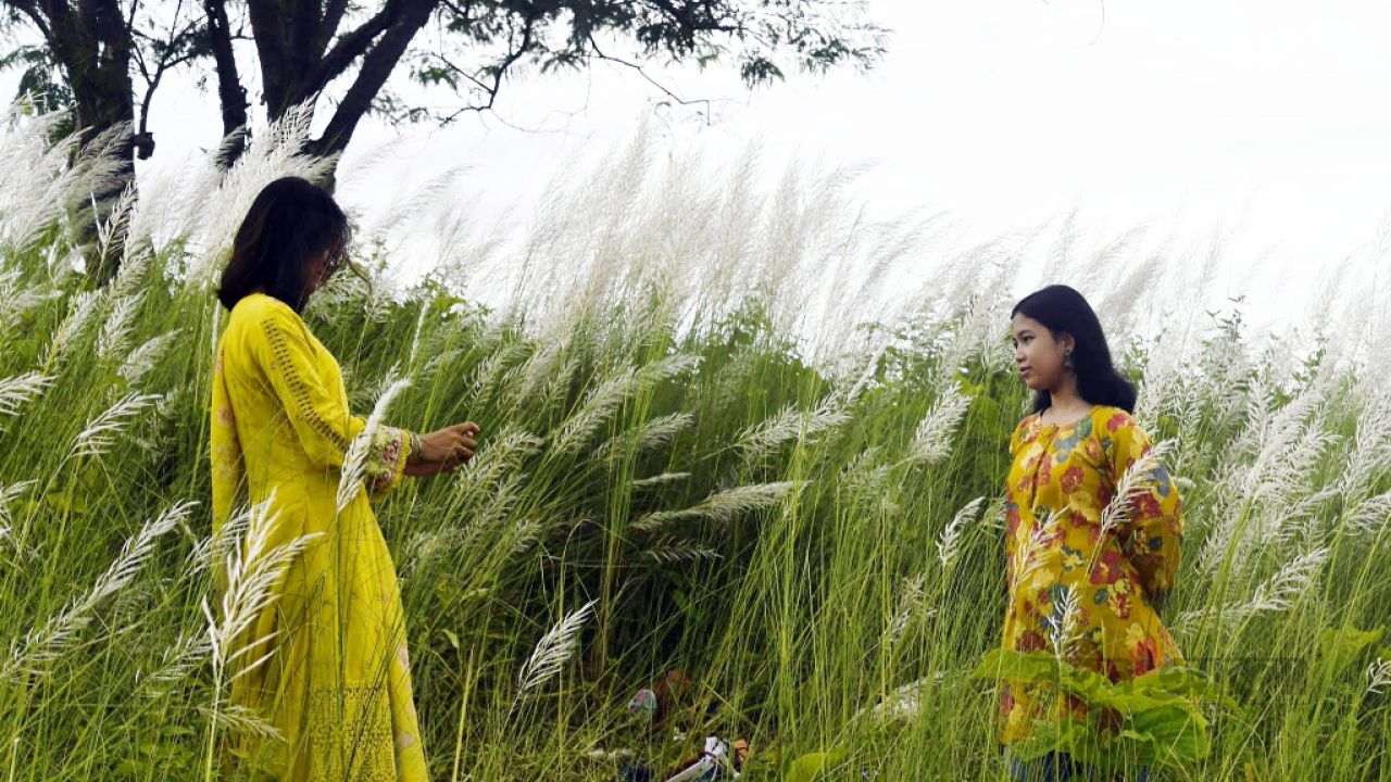 চেঙ্গীর তীরে শুভ্রতার চাদর: খাগড়াছড়ির পাহাড় ঘেরা মেঠোপথে কাশফুলের রূপসী সাজ