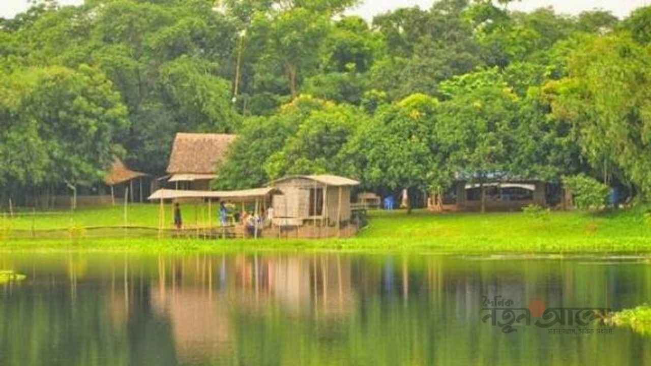ঢাকার কাছেই জল-জঙ্গলের কাব্য: মাত্র ৬০০ টাকায় একদিনের রিফ্রেশমেন্ট ট্রিপ