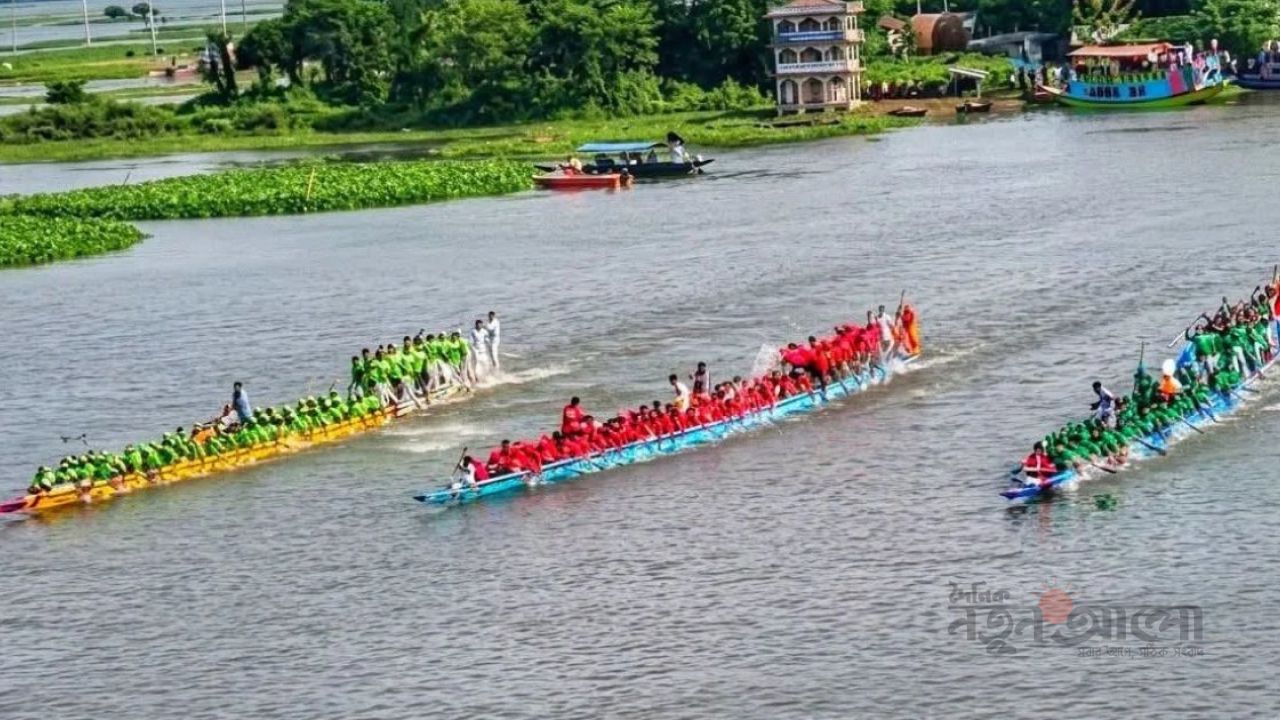 দুই বছর পর তিতাসে ফিরল নৌকা বাইচের আবহ, ভাদ্রের রোদে অর্ধলাখ মানুষের ঢল