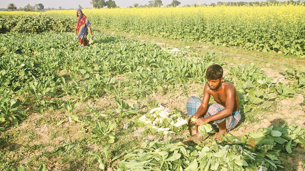 প্রান্তিক মানুষের হাহাকার ও সংকটের টেকসই সমাধান