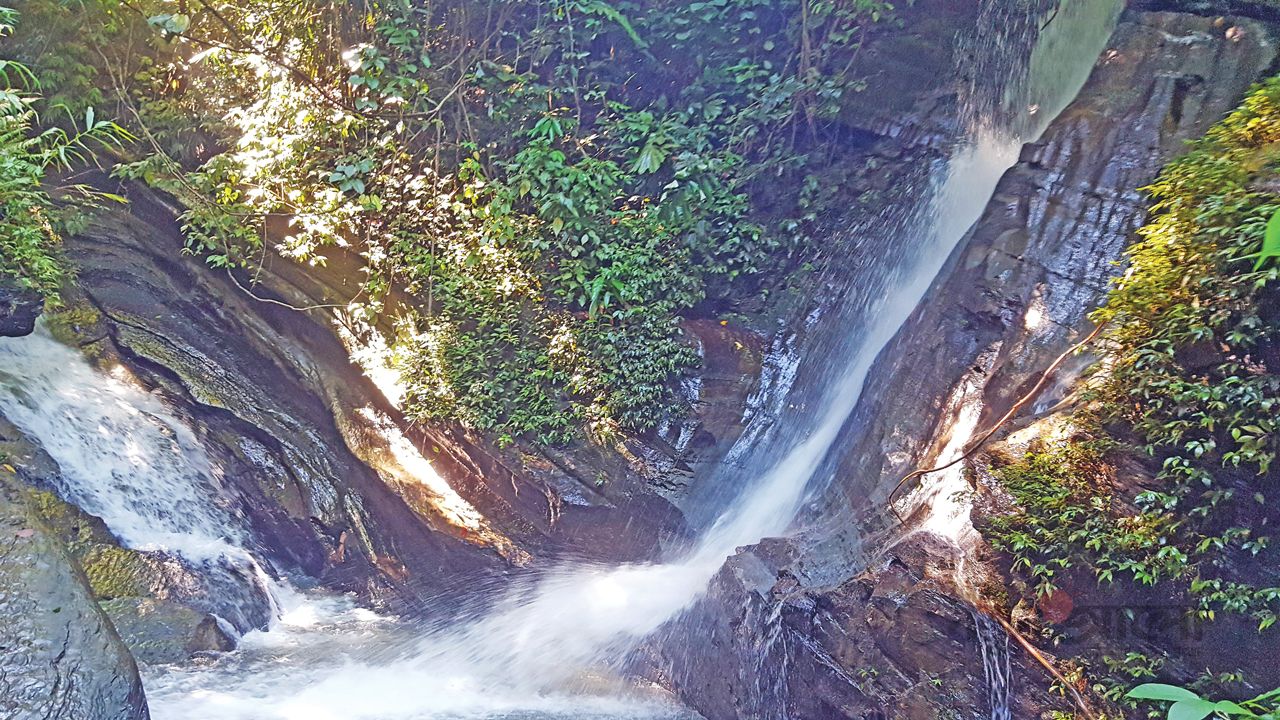 পাহাড়ের কোলে এক অচেনা রূপবতী: তোজেংমা ঝরনা