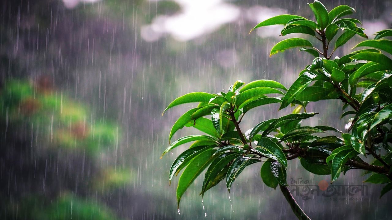 তিন বিভাগে হতে পারে বজ্রপাত সহ বৃষ্টি, কমতে পারে রাতের তাপমাত্রা
